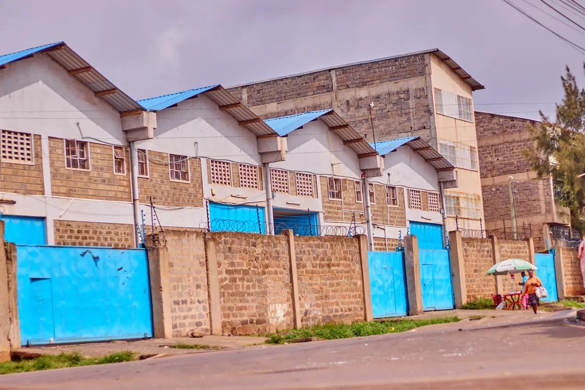 Make websites that surpass amongst all the latest trends